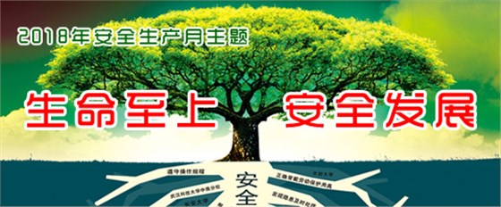 圖片5 圖片5